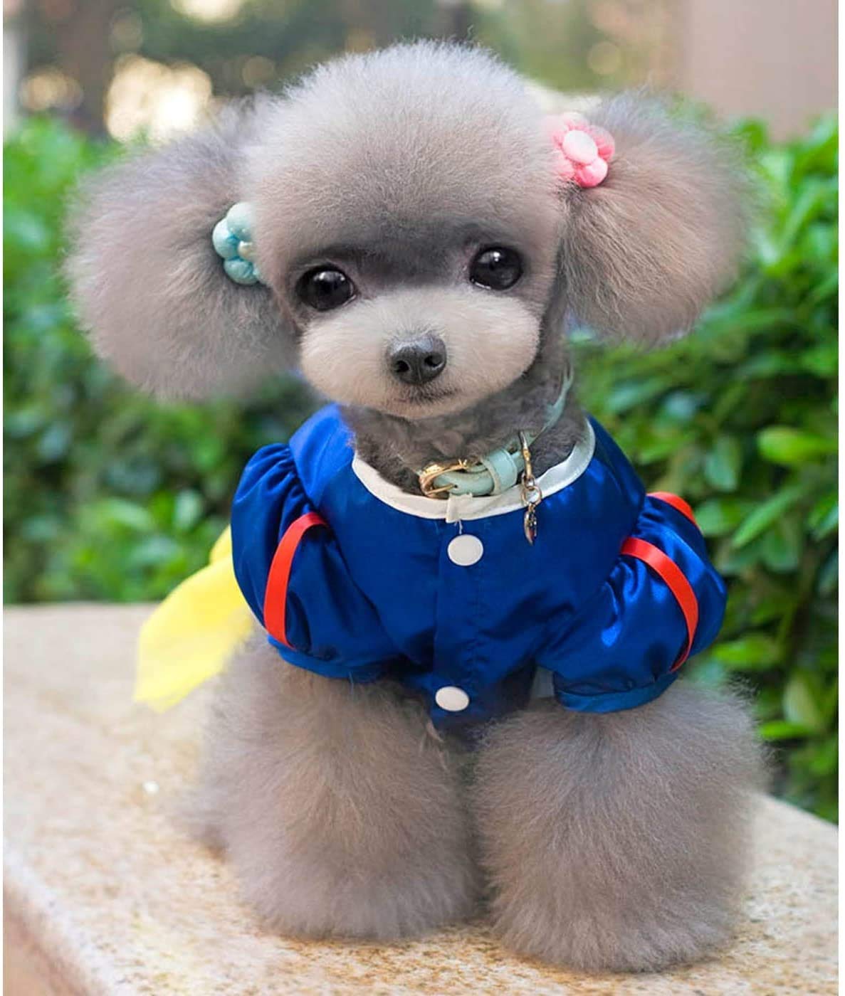 Amazon.co.jp: SHYPYG 犬のスカートペット製品ペットの犬の服白雪姫の